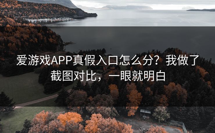 爱游戏APP真假入口怎么分？我做了截图对比，一眼就明白
