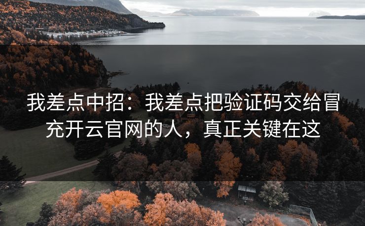 我差点中招:我差点把验证码交给冒充开云官网的人,真正关键在这