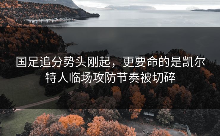 国足追分势头刚起,更要命的是凯尔特人临场攻防节奏被切碎