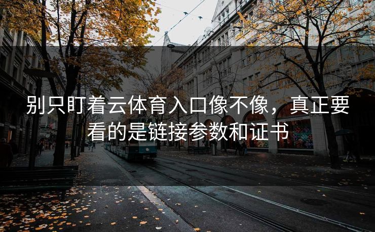 别只盯着云体育入口像不像，真正要看的是链接参数和证书